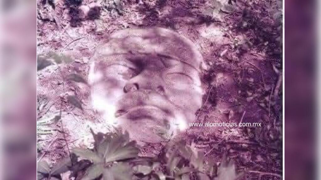 Así se encontró una colosal cabeza olmeca en San Lorenzo Tenochtitlán, Veracruz en 1957. Así se encontró una colosal cabeza olmeca en San Lorenzo Tenochtitlán, Veracruz en 1957.