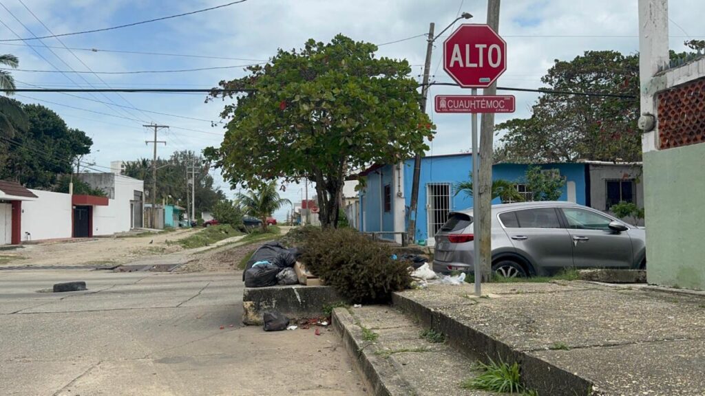 Ciudadanos de Coatzacoalcos ignoran campaña de reciclaje de pinos de Navidad