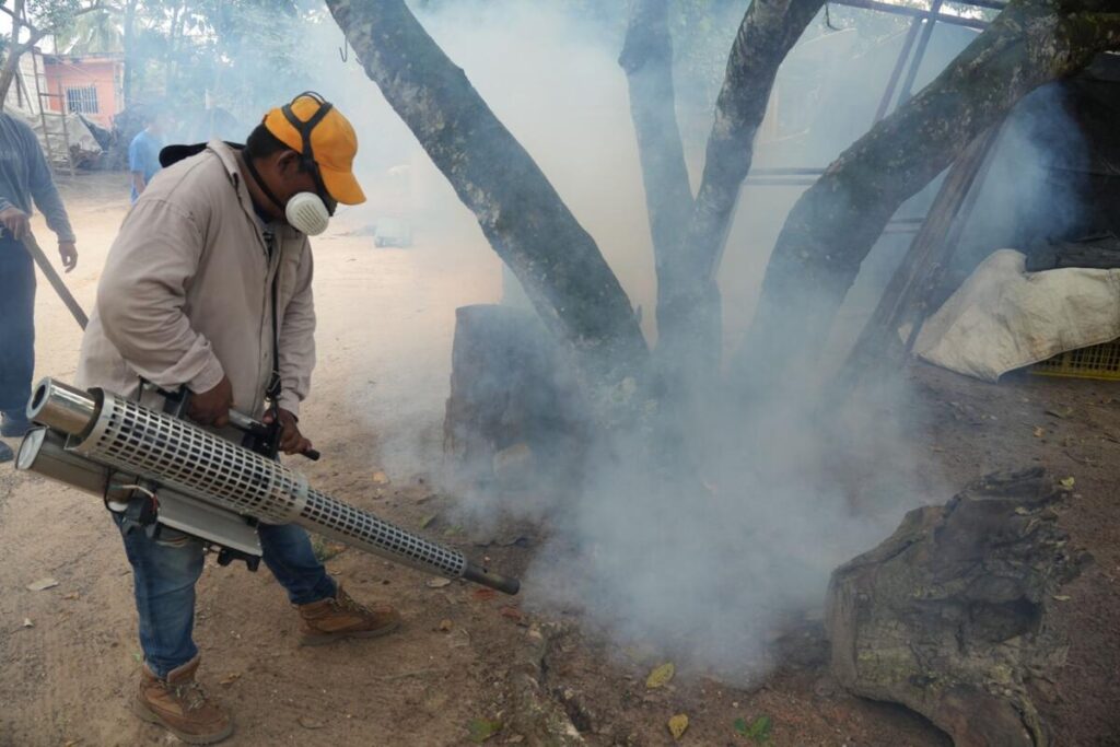 El H. Ayuntamiento de Cosoleacaque mantiene acciones contra la plaga Achaira Pauper. El H. Ayuntamiento de Cosoleacaque mantiene acciones contra la plaga Achaira Pauper.