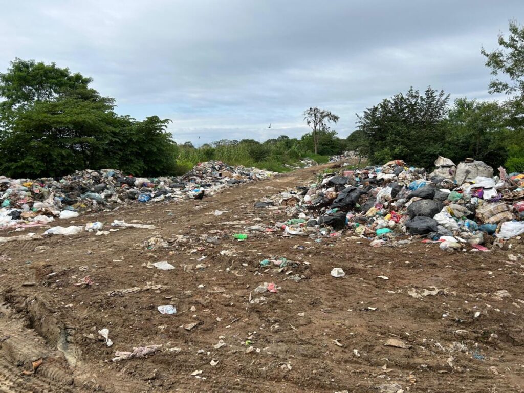 Preocupación por Basurero de Texistepec que Afecta a Cientos de Personas Preocupación por Basurero de Texistepec que Afecta a Cientos de Personas