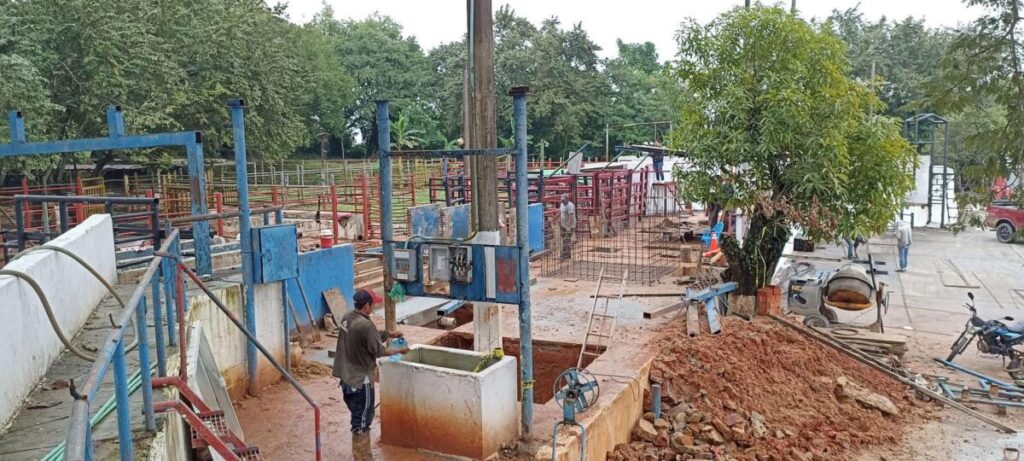 Refuerzan blindaje contra el gusano barrenador en la zona sur de Veracruz