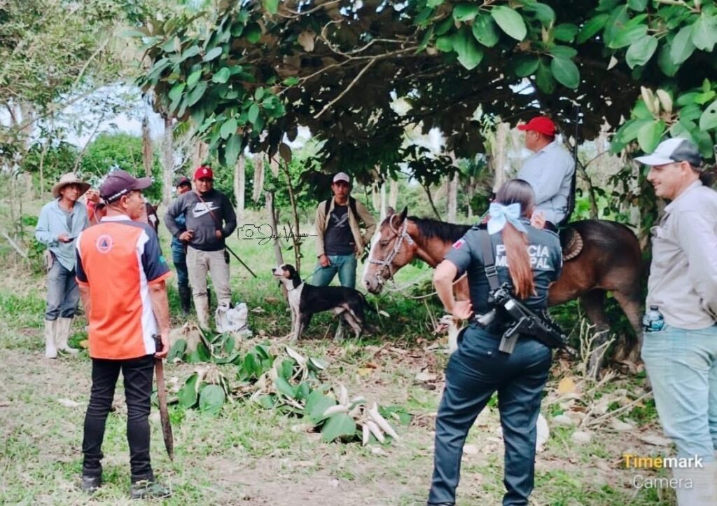 Avistamiento de Jaguarundi en Cosoleacaque moviliza a pobladores y autoridades.