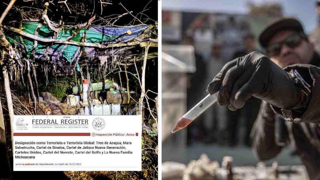 Seis cárteles mexicanos son designados como terroristas por Estados Unidos.