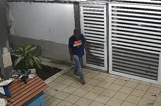 Exhiben a ‘rata de 2 patas’ en fraccionamiento de Veracruz. Exhiben a ‘rata de 2 patas’ en fraccionamiento de Veracruz.