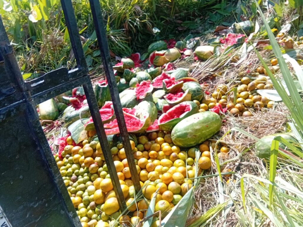 Volcó camioneta cargada con sandías Volcó camioneta cargada con sandías