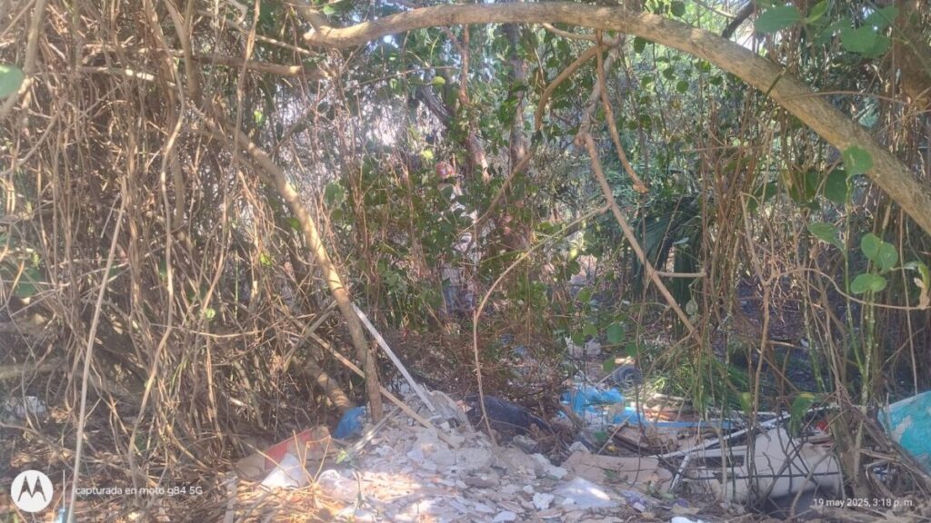 Se incendió lote baldío en Coatzacoalcos Se incendió lote baldío en Coatzacoalcos