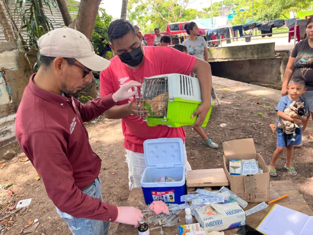 Impulsan en Coatzacoalcos la salud pública con jornada de vacunación canina y felina Impulsan en Coatzacoalcos la salud pública con jornada de vacunación canina y felina