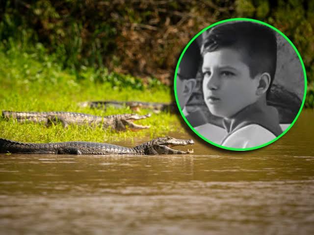 Aún sin localizar: menor cae a zona de cocodrilos en Michoacán Aún sin localizar: menor cae a zona de cocodrilos en Michoacán