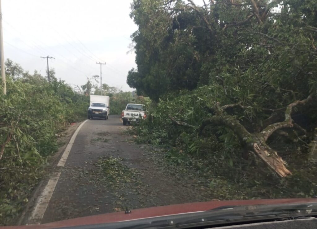 Mini tornado azota zona rural de Las Choapas; PC ya reabrió la carretera al Cerro de Nanchital Mini tornado azota zona rural de Las Choapas; PC ya reabrió la carretera al Cerro de Nanchital