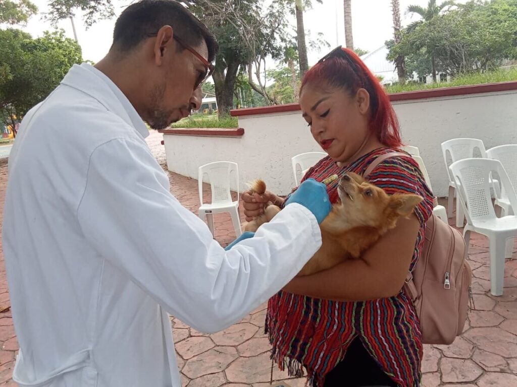 Realiza gobierno de Coatzacoalcos Jornada de Vacunación Felina y Canina en La Alameda