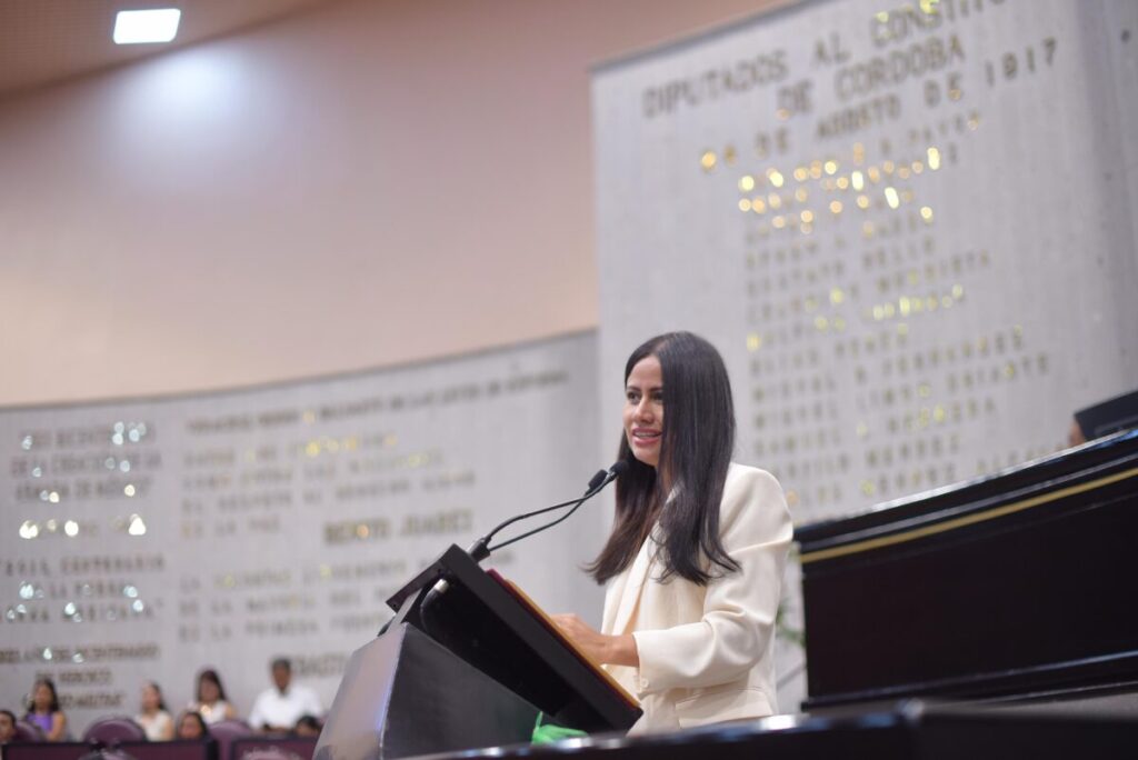 Pide diputada solución a constantes apagones en la zona Veracruz-Boca del Río