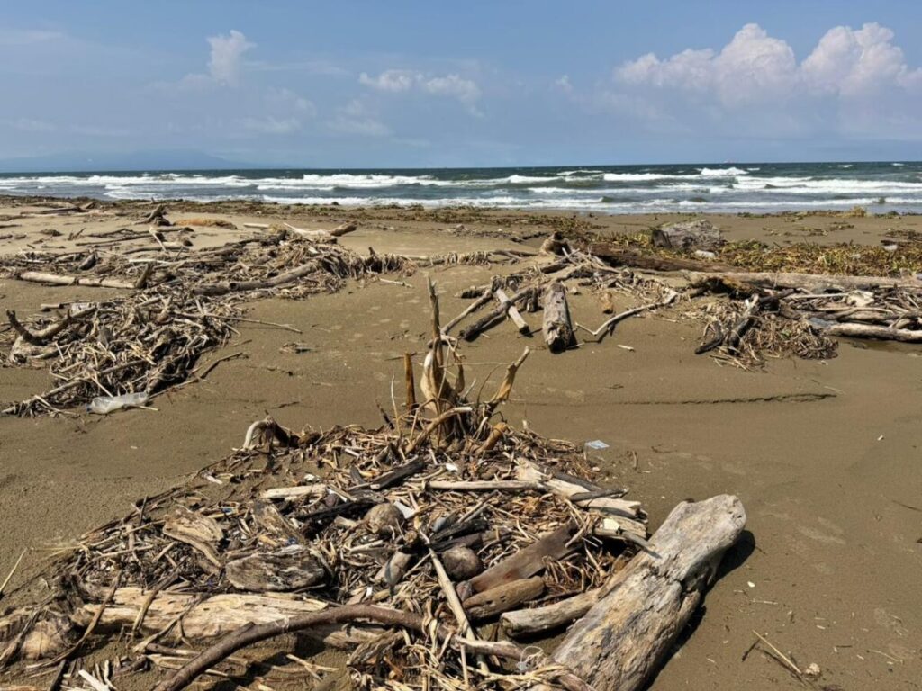 Playa de Coatzacoalcos cubierta de desechos arrastrados por lluvias en la región y las inundaciones del norte de Veracruz Playa de Coatzacoalcos cubierta de desechos arrastrados por lluvias en la región y las inundaciones del norte de Veracruz