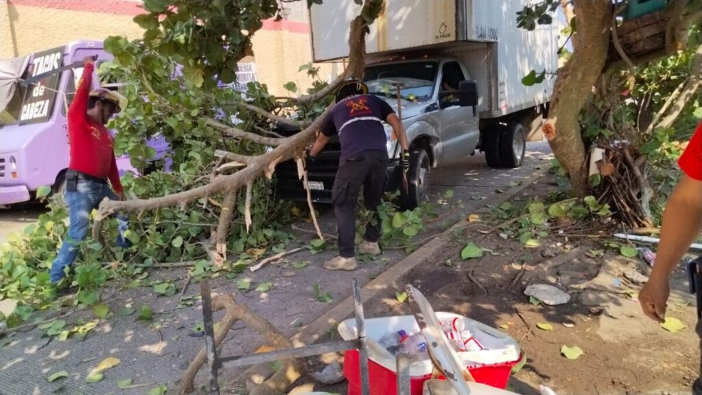 VIDEO : Camioneta derriba árbol y casi arr0ll@ a una vendedora de refrescos en Coatzacoalcos