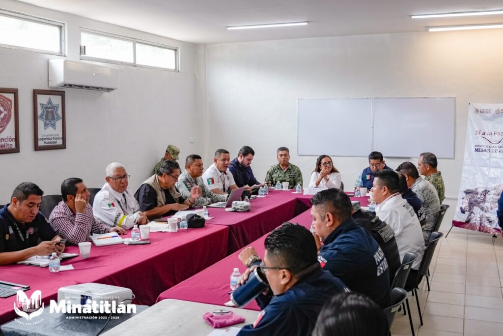 Carmen Medel Palma participa en Mesa de Seguridad Regional para la Construcción de la Paz
