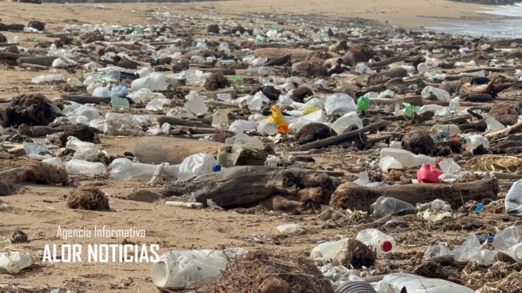 Playas se tapizan de basura y Pet en la zona sur de Veracruz. Playas se tapizan de basura y Pet en la zona sur de Veracruz.