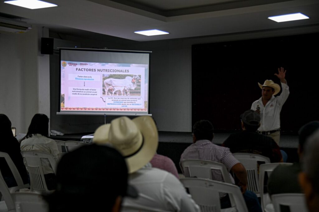 Capacitan a productores en Coatzacoalcos para mejora bovina