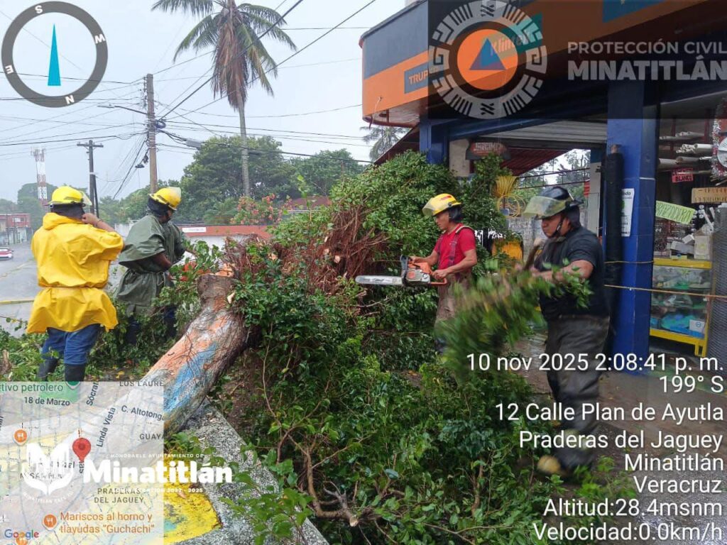Atienden caída de árboles por vientos del Frente Frío 13 en Minatitlán