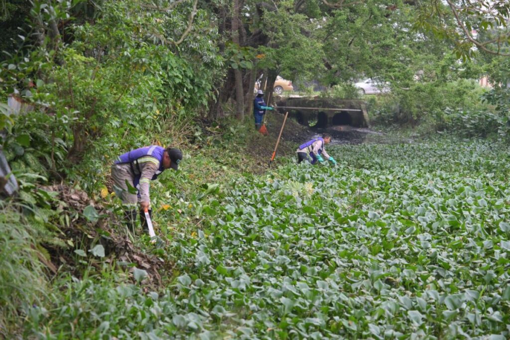 Avanza desazolve de canales en Coatzacoalcos para prevenir inundaciones