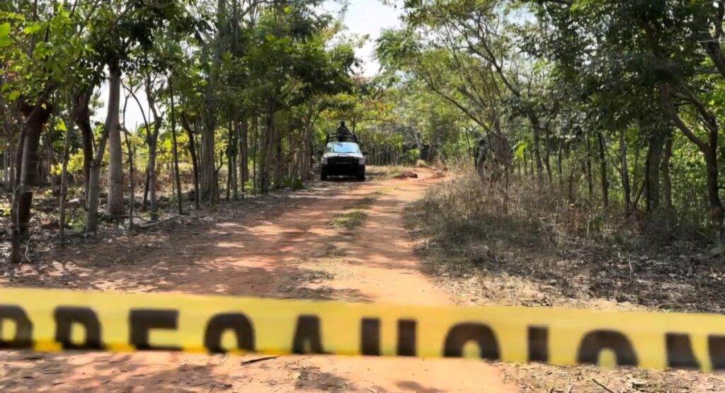 Restos localizados en fosa de Jáltipan  fueron trasladados a Nogales para su identificación.