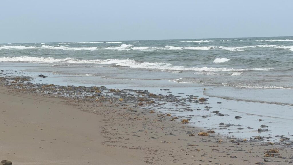 Contaminación por hidrocarburo paraliza la pesca y el turismo en el sur de Veracruz previo a Semana Santa Contaminación por hidrocarburo paraliza la pesca y el turismo en el sur de Veracruz previo a Semana Santa