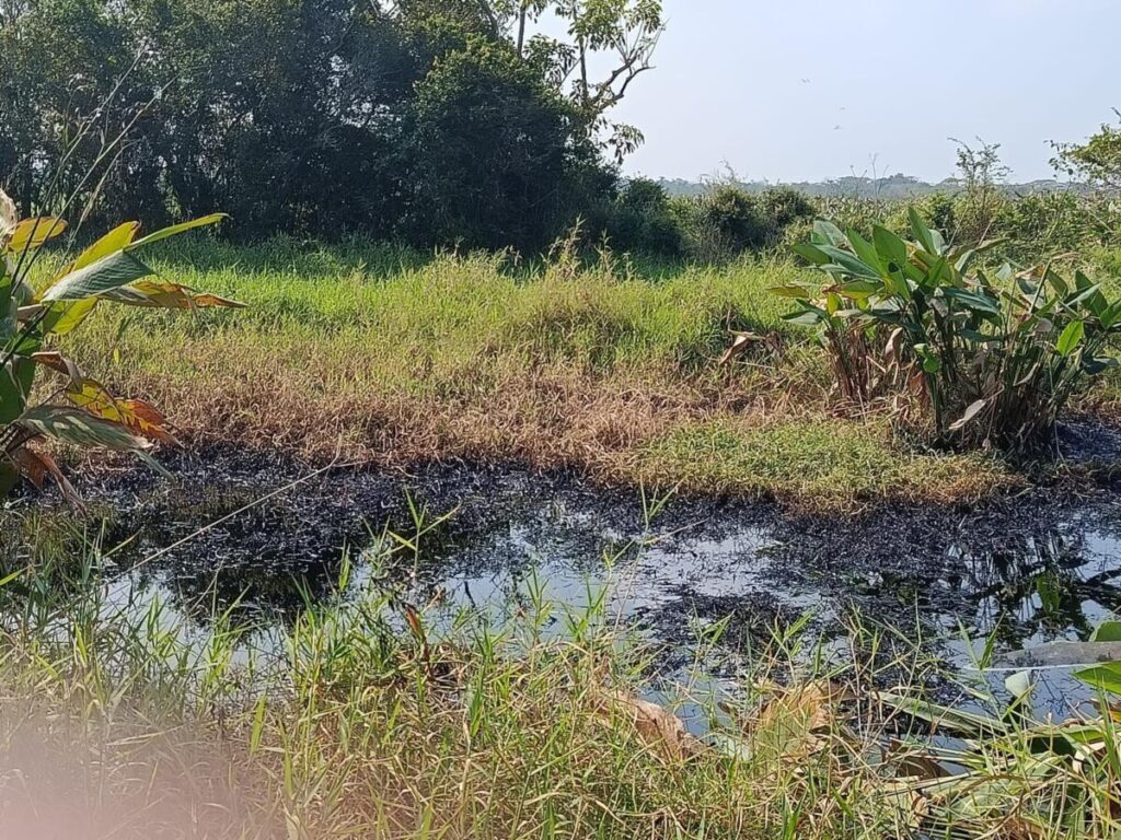 Fuga de crudo en oleoducto genera movilización en Minatitlán; tres menores atendidos Fuga de crudo en oleoducto genera movilización en Minatitlán; tres menores atendidos