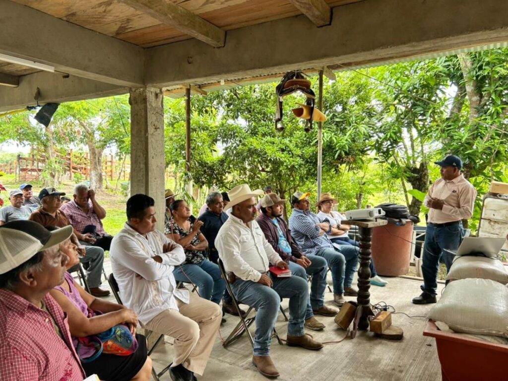 Ayuntamiento de Cosoleacaque capacita a productores ganaderos. Ayuntamiento de Cosoleacaque capacita a productores ganaderos.