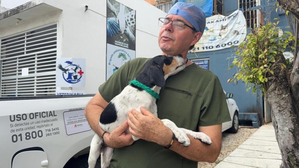 Ab4ndon4n a perrita am4rr4d4 en playa de Coatzacoalcos; fue rescatada a tiempo y se encuentra fuera de peligro.