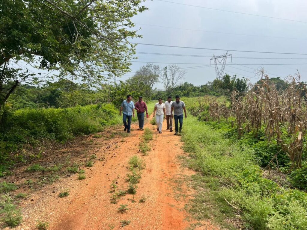 El Gobierno de Cosoleacaque mejora caminos para facilitar la salida de cosechas