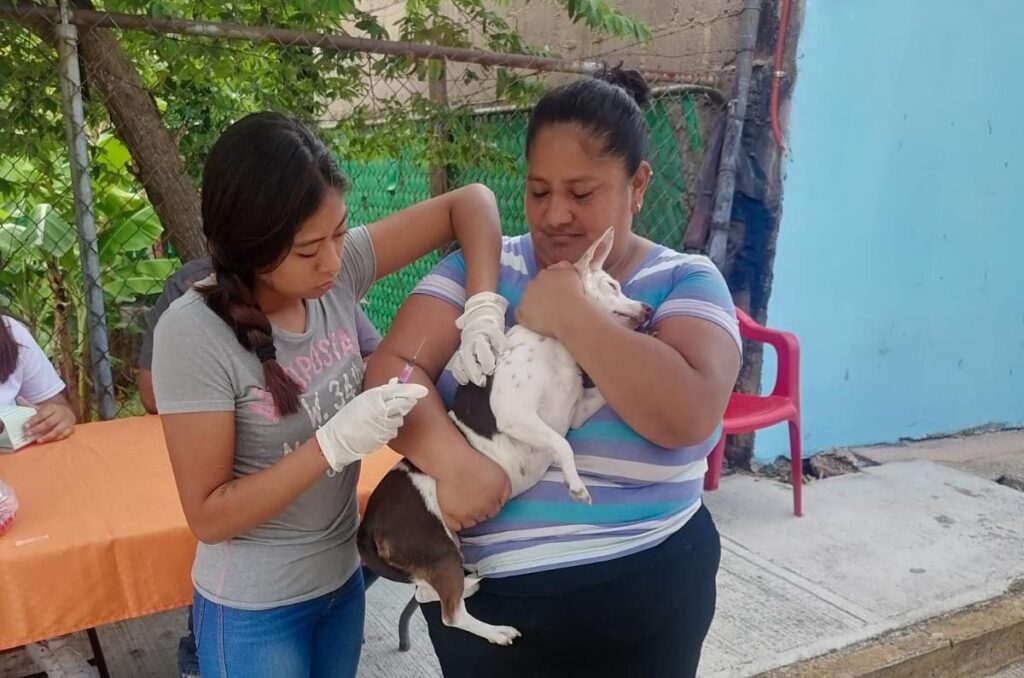 ¡Cosoleacaque responde con responsabilidad y amor por sus mascotas!