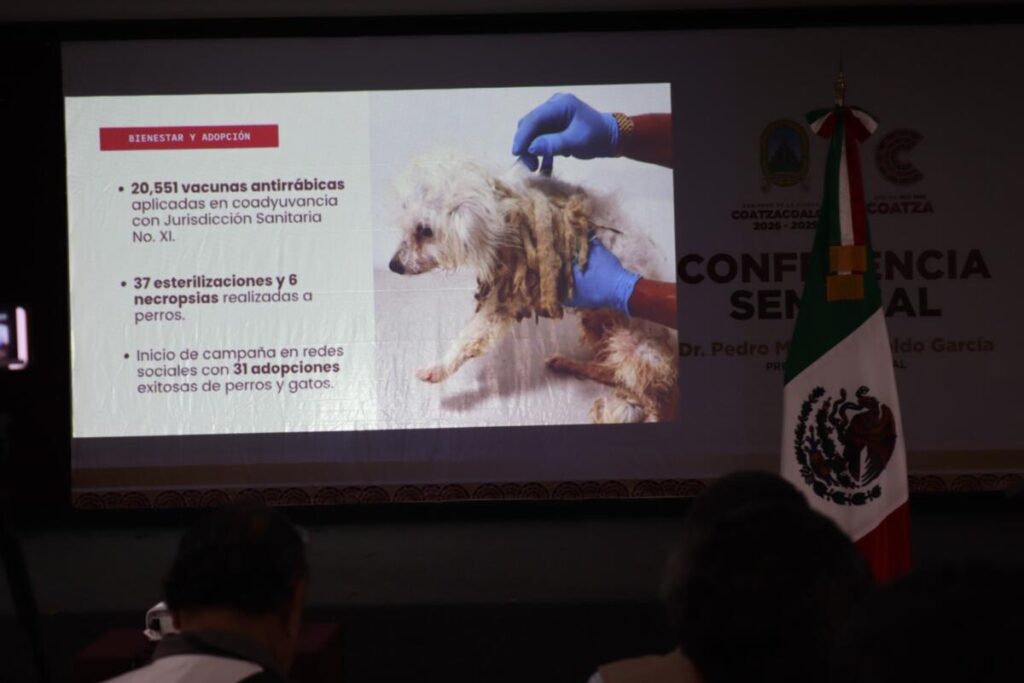 Presenta Ayuntamiento siete denuncias por maltrato animal y fortalece acompañamiento ciudadano Presenta Ayuntamiento siete denuncias por maltrato animal y fortalece acompañamiento ciudadano