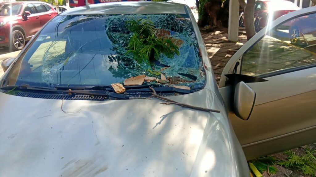 Rama de árbol cae sobre automóvil estacionado en el Centro de Coatzacoalcos