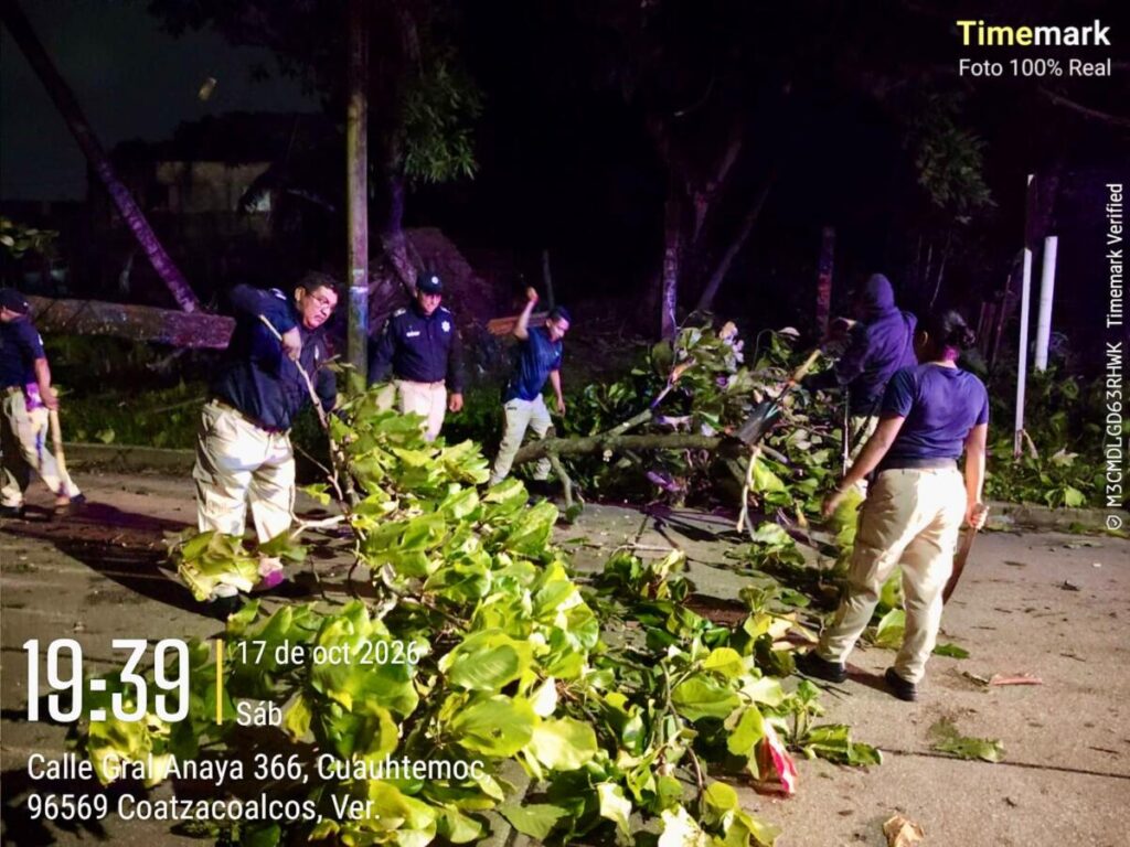 Policía Municipal de Coatzacoalcos realiza labores de vigilancia y apoyo social ante la caída de árboles