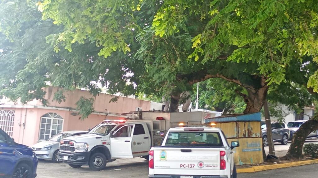 Ataque de abejas deja diez lesionados, uno de gravedad en Coatzacoalcos